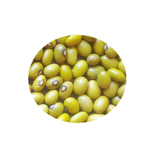 ถั่วเหลืองราคาถูก ขายส่งสำหรับการแปรรูปอาหารและขายปลีก - Product Image 3