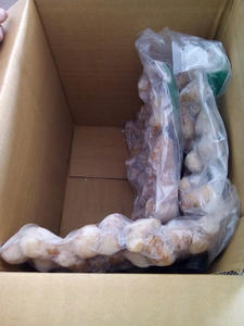 HOT DEAL REBANADAS DE GALANGAL CONGELADAS CALIDAD PREMIUM A GRANEL SUMINISTRO AL POR MAYOR PRODUCTO DE EXPORTACIÓN DE ESPECIAS NATURALES TOP VENTAS MEJOR PRECIO OFERTA - Product Image 6