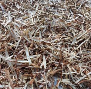 รากคูร์คูลิโกแห้งจากแหล่งผลิตในฟาร์ม |   อะเรก้า คาเตชู |   วัตถุดิบสมุนไพรคุณภาพส่งออกของเวียดนาม - Product Image 4