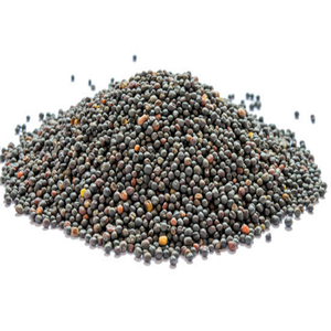 En stock, graines de colza d'origine française, durée de conservation de 24 mois, meilleur prix, livraison rapide disponible, achetez maintenant, vente en gros - Product Image 4