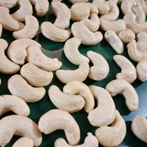 Noix de cajou en vrac bon marché WW240 Kaju Badam noix noyaux exportés vers le Moyen-Orient - Product Image 1