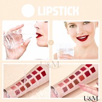 Ensemble de rouge à lèvres liquide mat anti-adhésif, gloss à lèvres, 12 couleurs, imperméable, longue tenue, maquillage en gros
