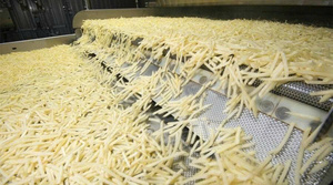 Proveedor Vietnamita de Papas Fritas Congeladas LQF, Vaporizadas, de Alta Calidad, Envasadas al Vacío - Product Image 6