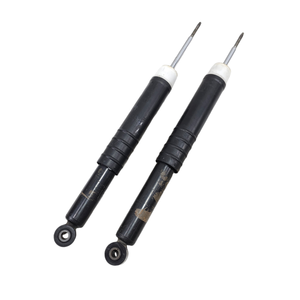 PAR DE AMORTIGUADORES RENAULT Clio Serie IV 562109815R (12>19) - Product Image 1