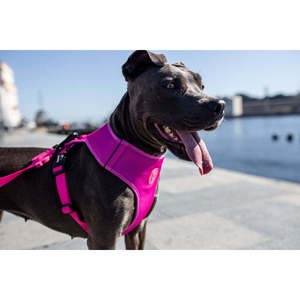 Luxury Pink LED Adjustable Polyester Dog Harness Medium Size Tactical Style with Breathable Mesh Floral Pattern for Cat <b>Walking</b> - Product Image 3