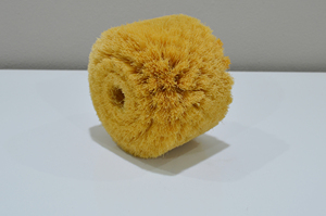 Special design cylinder tampico <b>brush</b> - Product Image 3