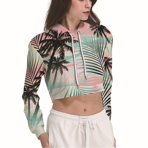 Sweat à capuche pour femme de haute qualité 100% coton à manches longues Pull court Design Prix raisonnable Sweat à capuche court pour femme - Product Image 6