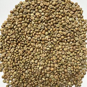 Grains de café verts Robusta vietnamiens de qualité supérieure avec processus de miel de maturité 97% nouvelle récolte 2024-2025 - Product Image 1