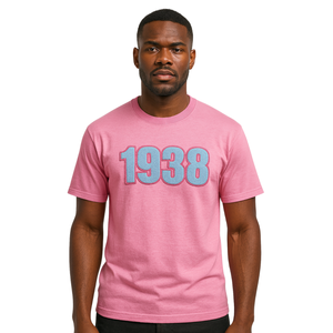 1938 Jack e Jill of America T Shirt di cotone rosa blu ciniglia ricamo nero organizzazioni civiche e professionali abbigliamento - Product Image 1