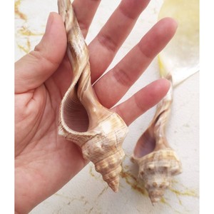 Accessoires de cuisine et de restaurant multifonctionnels écologiques faits à la main en résine, serveur à salade en os, gadgets uniques pour les hôtels - Product Image 3