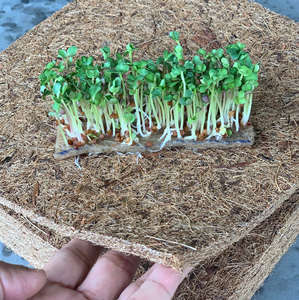 Factory Direct Coconut Coir <b>Mat</b> Supplier from Vietnam, Sustainable Coconut Coir <b>Mats</b> for <b>Gardening</b>, Farmhouse by ECO2GO Vietnam - Product Image 2