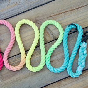 Custom Rope Hands Free Dog <b>Leash</b>, Rainbow Dog <b>Leash</b>, Summer Dog <b>Leash</b>, Over the Shoulder <b>Leash</b>, Waist Lead, Bright Dog <b>Leash</b> - Product Image 1