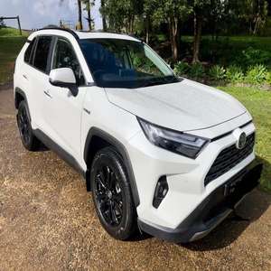 Toyota RAV 4 coches precio barato automático envío rápido bastante usado fresco y limpio sin historial de accidentes en stock para la venta - Product Image 1