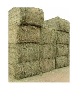 Aliments à haute teneur en protéines pour foin de luzerne Timothy de haute qualité pour animaux pour bovins porcs chevaux aliments pour animaux de compagnie emballés en balles - Product Image 4