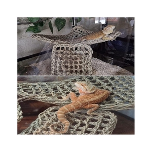 เปลญวนหญ้าทะเลคุณภาพสูง ปลอดภัย เหมาะสำหรับกิ้งก่าพักผ่อนและปีนผนังตู้ ผิวตาข่ายเรียบเนียนเพื่อความสบาย - Product Image 5