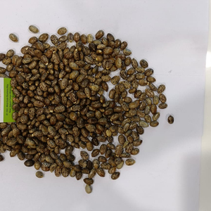 Roulette - Product Image 2