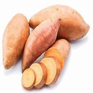 Orange-Fleshed Nutrient Rich Sweet <b>Potato</b> Available atModerate Prices - Product Image 4