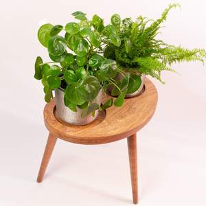 Wood Pet Bowl Wood Cat Bowl <b>Dog</b> Bowl With <b>Dog</b> And Cat Used For Holding <b>Food</b> And Water - Product Image 3