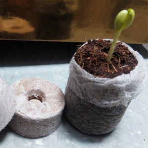 Vente en gros de granulés de tourbe de coco biodégradables-Coir Jiffy Top Quality Standard to Export from Viet Nam - Product Image 6