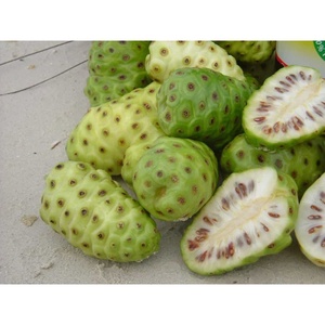 Noni-fruta de Frozen/proveedor, Noni, Ms Sophie, barata, lista para enviar - Product Image 1