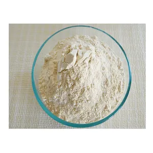 Highest Quality Bulk or Bag Gluten Free Organic Wheat Flour Ready for Export