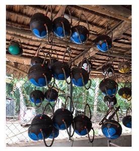 Bolsas de cáscara de coco-Viet Nam Bolsas de cáscara de coco hechas a mano de moda con alta calidad ligera - Product Image 1