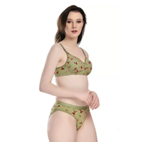 Bikini Sexy de Dos Piezas para Mujer de Talla Grande a Precio Barato de Mayoreo con Estampado Animal y Logo de Color Personalizado Ecológico