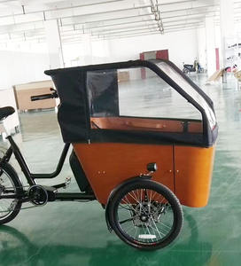 Vélo cargo électrique familial à 3 roues avec <span class=keywords><strong>porte</strong></span>-bagages arrière, moteur brushless 250W, assistance au pédalage, double moteur, cadre en acier 7 vitesses - Product Image 2