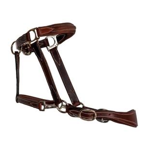 Licol en cuir anglais extra confortable de qualité supérieure en cuir de selle marron et noir de La Havane avec quincaillerie réglable - Product Image 3