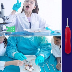 Proveedor Mayorista de Mango de Bisturí Quirúrgico Ortopédico Veterinario Médico, Herramienta de Cirugía Reutilizable de Acero Inoxidable - Product Image 4