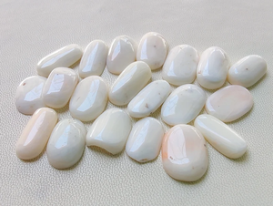 Coral blanco natural, coral japonés natural de 110 quilates, piedra preciosa de forma ovalada de coral blanco, piedra preciosa de coral japonés pulido suave - Product Image 6