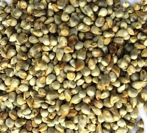天然喂鸟器珍珠小米 (Bajra)，Kambu，全生命阶段鸟类食品制造商来自印度全销售出口商