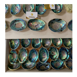 Proveedor de conchas de abulón de Vietnam, venta al por mayor, conchas de mar de abulón pulidas para decoración del hogar y uso artesanal - Product Image 5