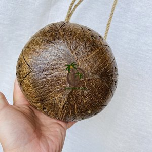 MACETA DE COCO NATURAL HECHA EN VIET NAM // MATERIAL BIOLÓGICO MACETA DE COCO PARA PLANTAR FLORES DECORACIÓN EN TU JARDÍN - Product Image 6
