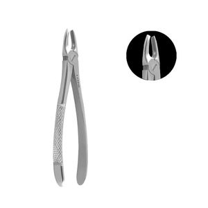 Herramienta de extracción de caninos superiores Manual Lore superventas Procedimientos dentales eficientes - Product Image 1