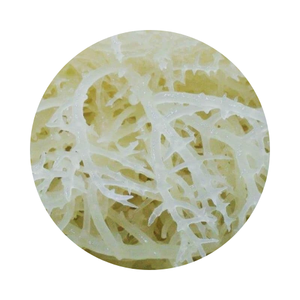 มอสทะเลเกรด TOP ราคาดีที่สุดจากเวียดนามพร้อมส่งออกจํานวนมาก - Product Image 1