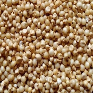 ข้าวฟ่างขาวแบบไม่ทอ - Product Image 6
