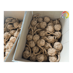 Palo de juguete para masticar de coco sostenible para perros | Producto natural para masticar mascotas de Vietnam | Juguetes seguros y divertidos para perros y accesorios para mascotas. - Product Image 3