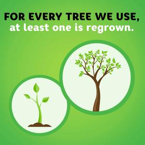 Bounty Select-A-Size Toallas de papel de cocina blancas 10 rollos triples Inodoro de 3 capas Tejido - Product Image 5