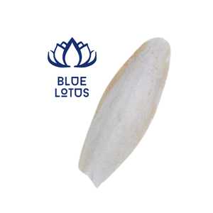 Le meilleur os de seiche séché pour les cadeaux personnalisés pour animaux de compagnie et le supplément de protéines de régime de carotte et d'oiseau - Product Image 1