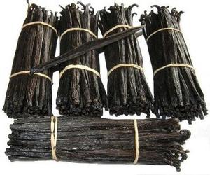 Whole Vanilla <b>Beans</b> Organic Quality High Grade Extra Harvest Fresh 16 ~ 20 cm Frozen 25kg Fast Delivery - Product Image 1