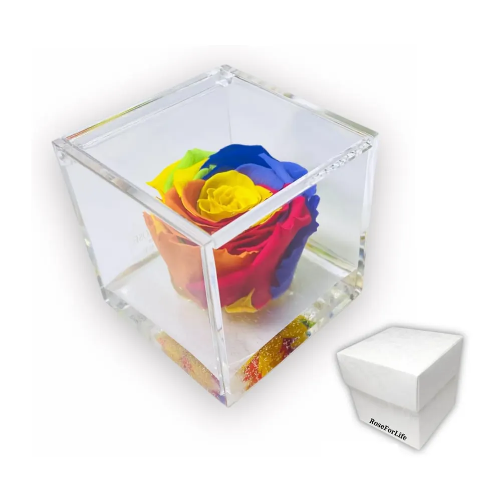 Wholesale Preserved Flower Multi Color Rose Acrylic Box Creative Valentine's Day Gift Eternal Rose Cube