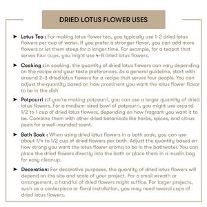 Flor de Loto Seca, Ingrediente Natural para Té Adelgazante - Product Image 4