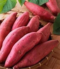 Proveedor de Batata Congelada de Vietnam, Raíces Enteras y Batida, para Mercados Internacionales - Product Image 6