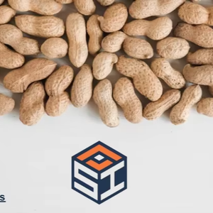 Chất lượng cao xuất khẩu lớp rang đậu phộng khô lạc Snack thực phẩm bơ đậu phộng sản xuất nguyên liệu chế biến số lượng lớn Nhà cung cấp - Product Image 3