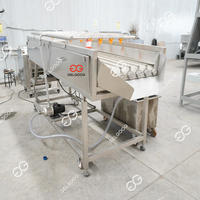 Système de lavage de dattes, machine de traitement et d'emballage des dattes, fabricants chinois de haute qualité
