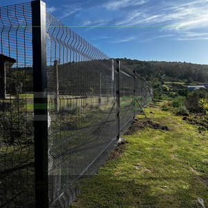 Clôture en treillis anti-escalade 358 en acier galvanisé haute sécurité, durable et à vision claire, personnalisée pour l'Afrique du Sud - Product Image 3