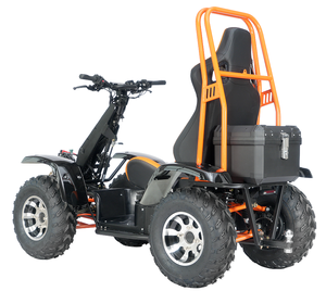 Scooter Eléctrico 4x4 de 5KW 60V con Motor de 6000W, Velocidad de 50km/h, Uso Agrícola, Certificación CE, COC y EEC, Sensor, Carga Máxima 200kg, ¡EN OFERTA! - Product Image 1