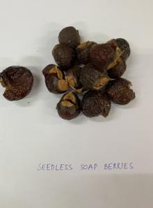 Dried <b>Soap</b> Nut Supplier Dried Soapnuts for Body <b>Wash</b> Soapberry Tea Natural Soapberries <b>Soap</b> Berries 4Lbs 960 Loads Vietnam ANGLE - Product Image 2