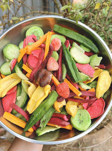 Chips de Frutas y Verduras Secas Mixtas a Granel, Snack Saludable, Proveedor de Vietnam - Product Image 2